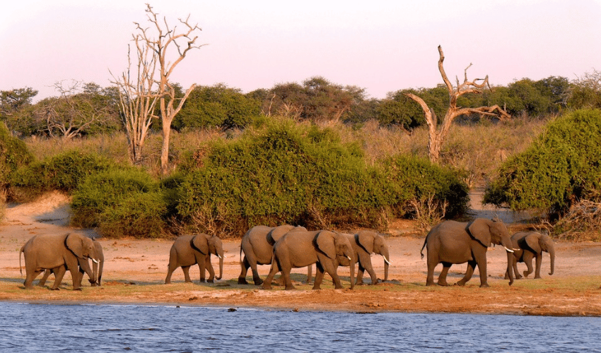 Botswana