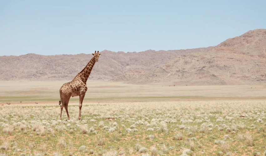 Namibia