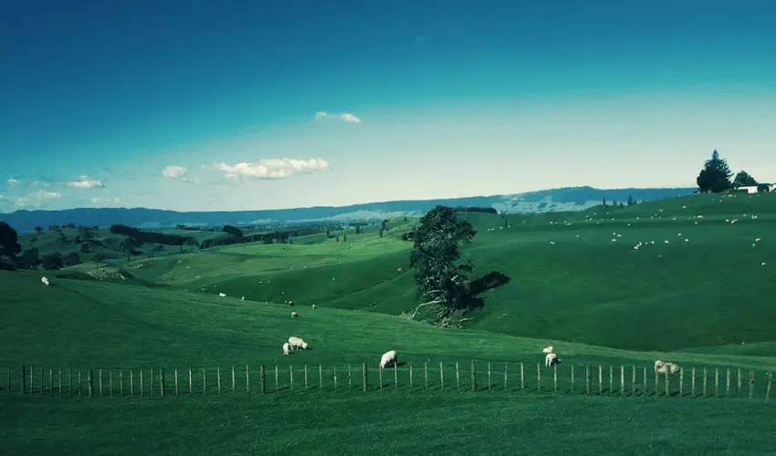 New Zealand