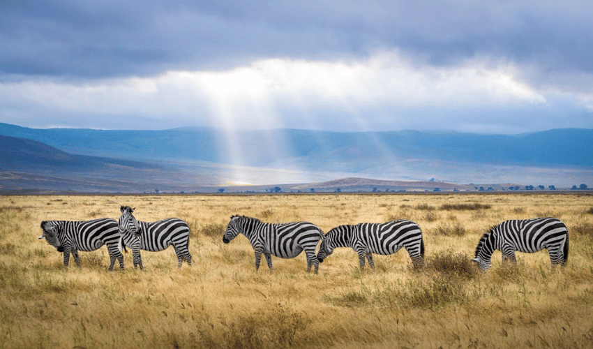 Tanzania