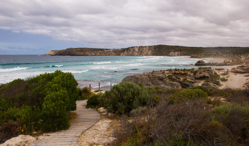 KANGAROO ISLAND