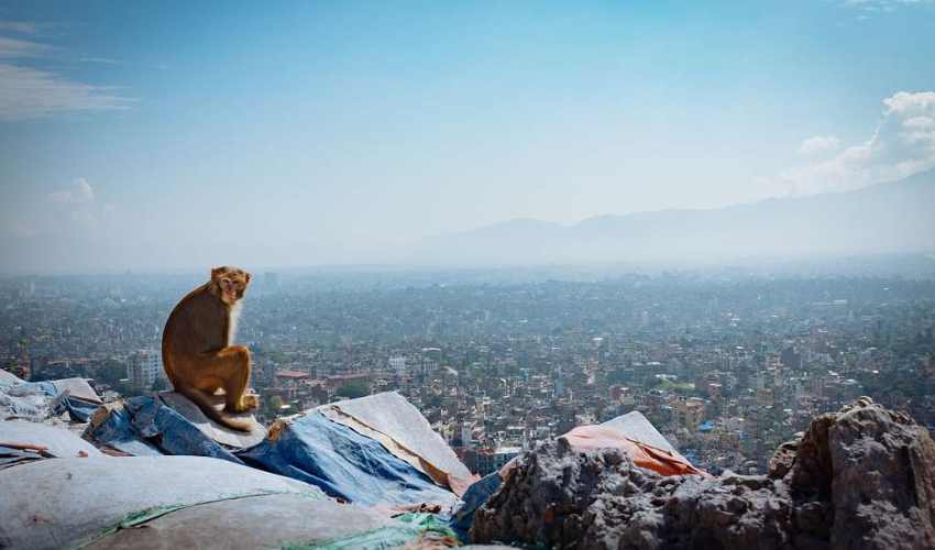 TOP 5 BEAUTIFUL CITIES OF NEPAL