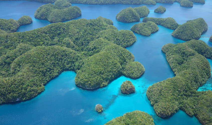 Palau Micronesia 1