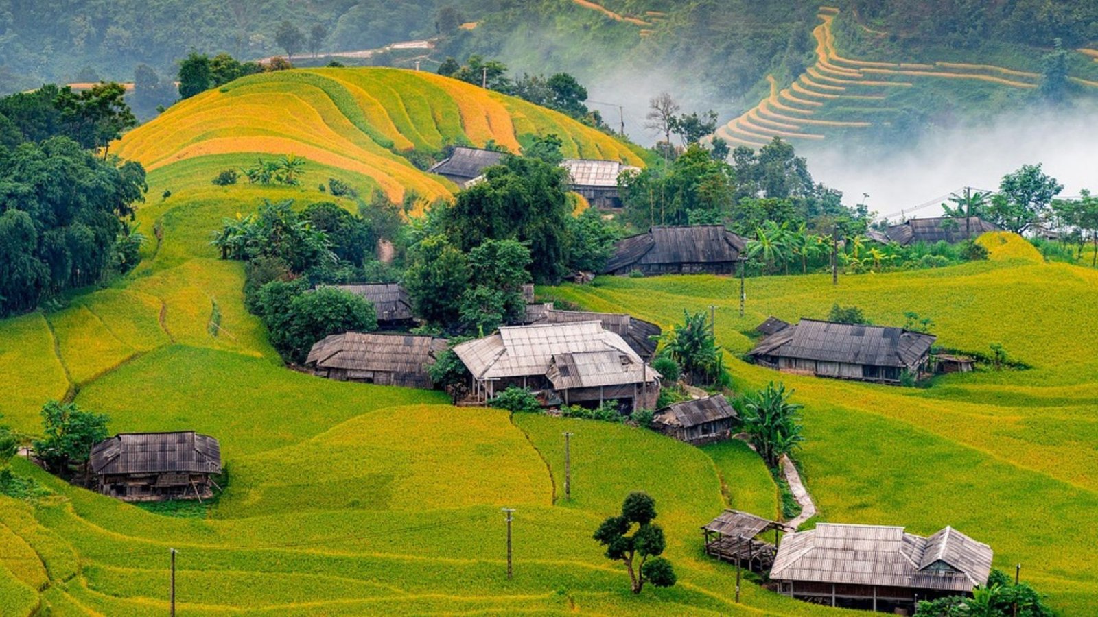 Vietnam 1